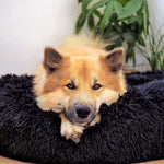Kuscheliges Hundebett Wolke 7 - Das Original