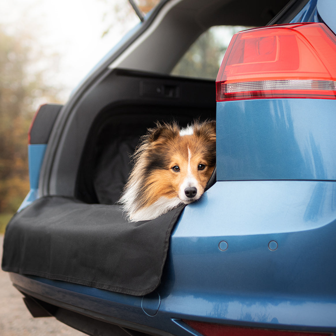 Spessn Kofferraumschutz für Hund, Universal Auto Kofferraum