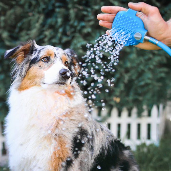 Hunde Duschkopf inkl. Schlauch