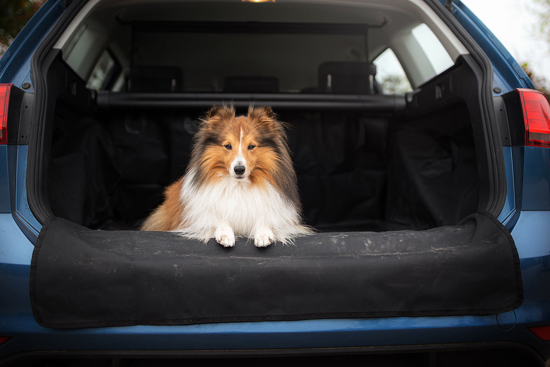 Kingsleeve Kofferraumschutz Schondecke Hund Universal Kofferraummatte Auto  KFZ