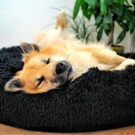 Kuscheliges Hundebett Wolke 7 - Das Original