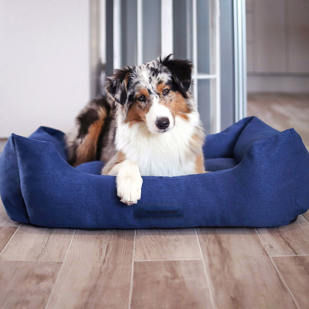 Orthopädische Hunde Couch