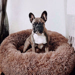 Kuscheliges Hundebett Wolke 7 - Das Original