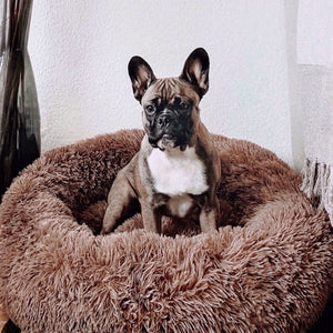 Kuscheliges Hundebett Wolke 7 - Das Original