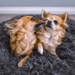 Kuscheliges Hundebett Wolke 7 - Das Original