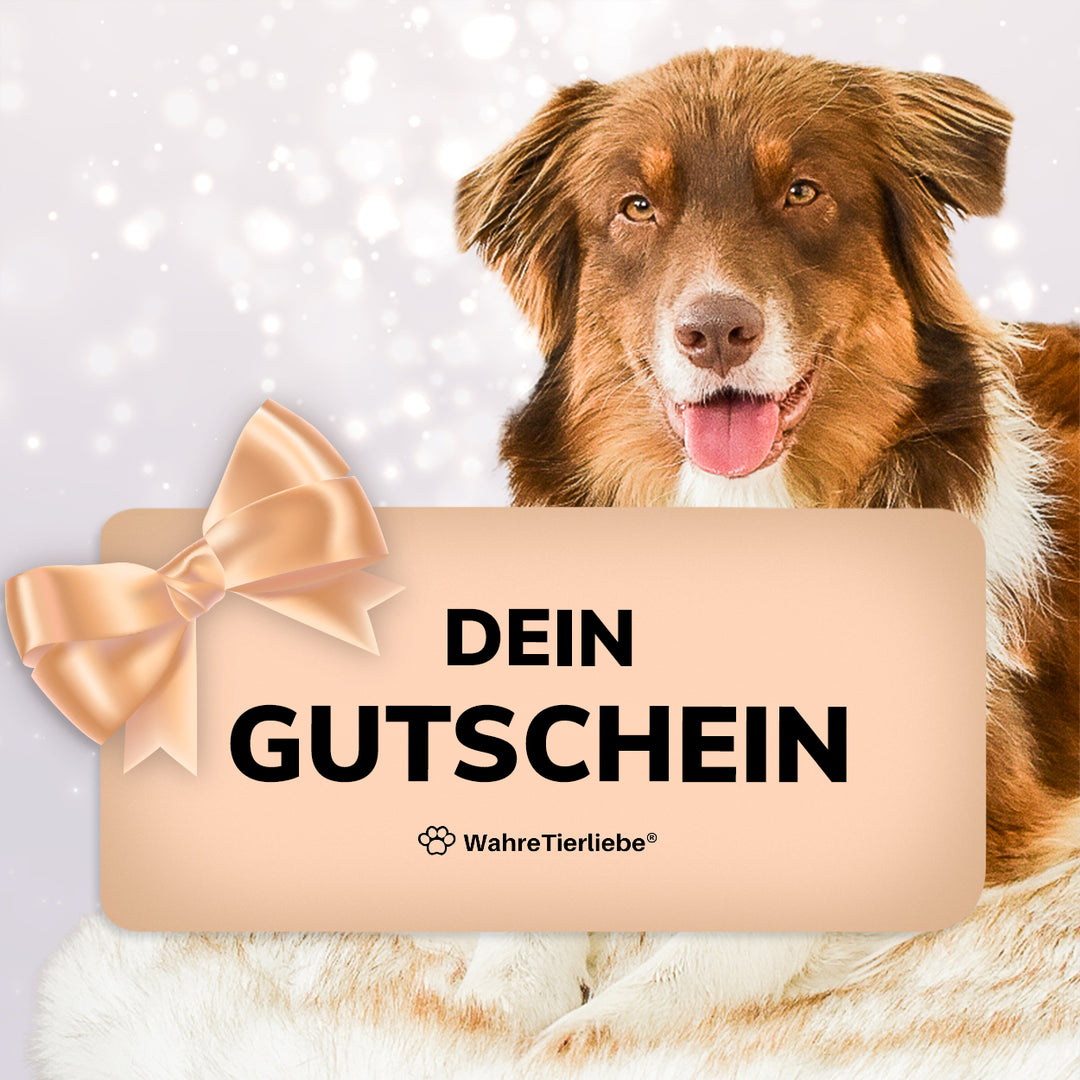 Geschenk Gutschein