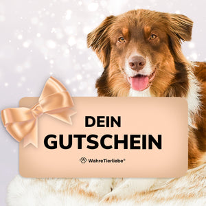 Geschenk Gutschein