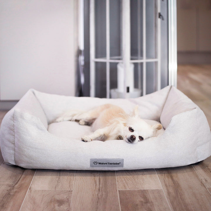Orthopädische Hunde Couch
