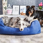 Orthopädische Hunde Couch