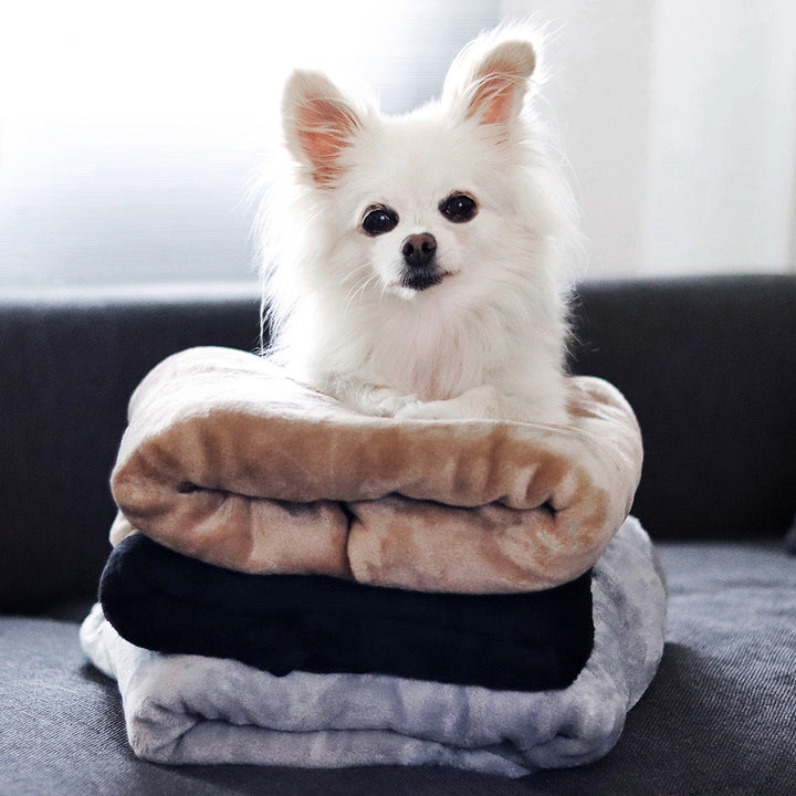 Premium Hundedecke