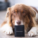 Pfotenkette mit Schmuckbox