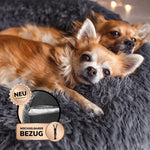 Wolke 7 Plus mit Bezug