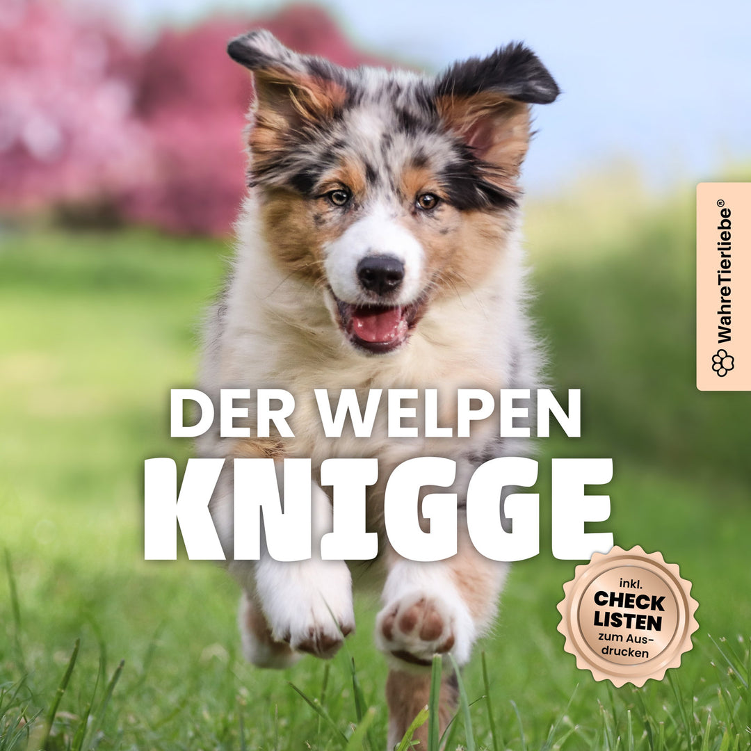 Welpen Knigge E-Book