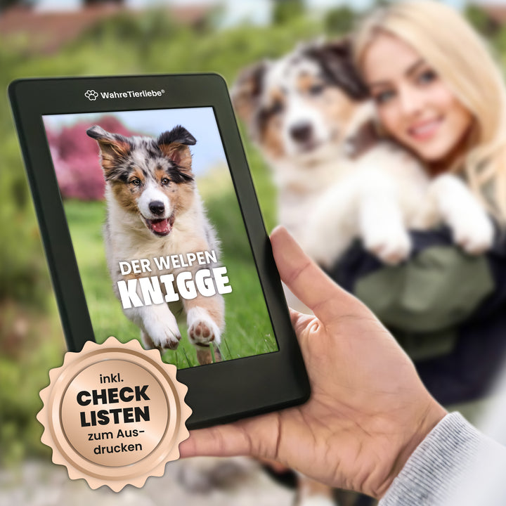 Welpen Knigge E-Book