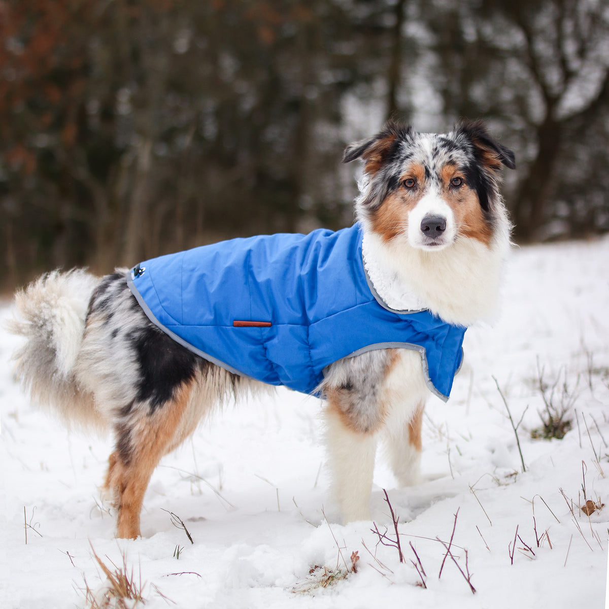 HDE Hunde-Jagdweste In Enten-Camo – Wasserdichte Winterjacke Für Hunde, Größe S-XL, Verstellbar