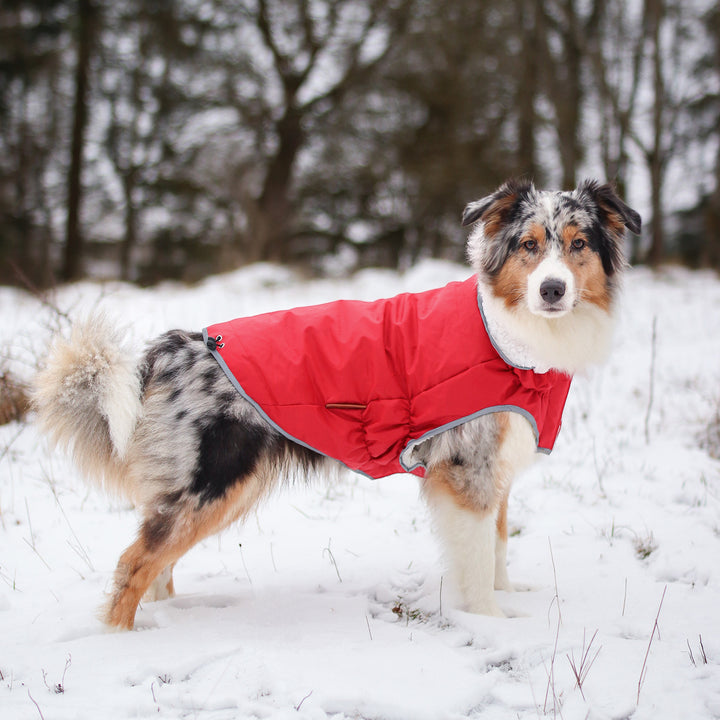 Premium Hunde Winterjacke