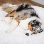 Kuscheliges Hundebett Wolke 7 - Das Original