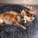 Kuscheliges Hundebett Wolke 7 - Das Original