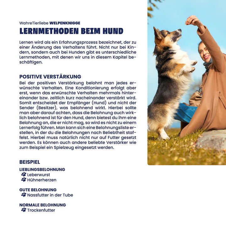 Welpen Knigge E-Book