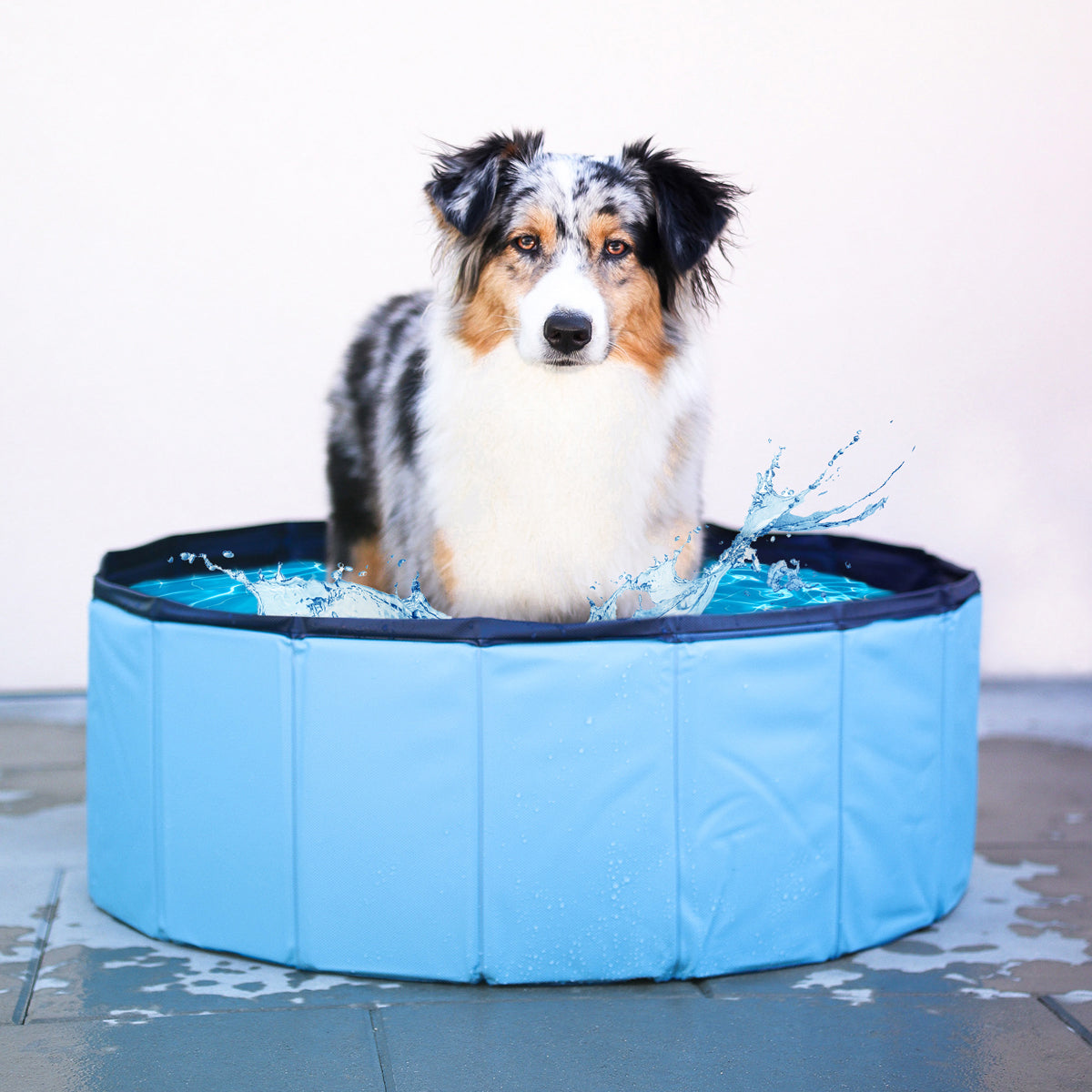 Premium Hundepool - WahreTierliebe®