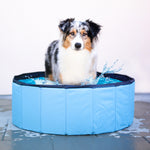 Premium Hundepool - WahreTierliebe®